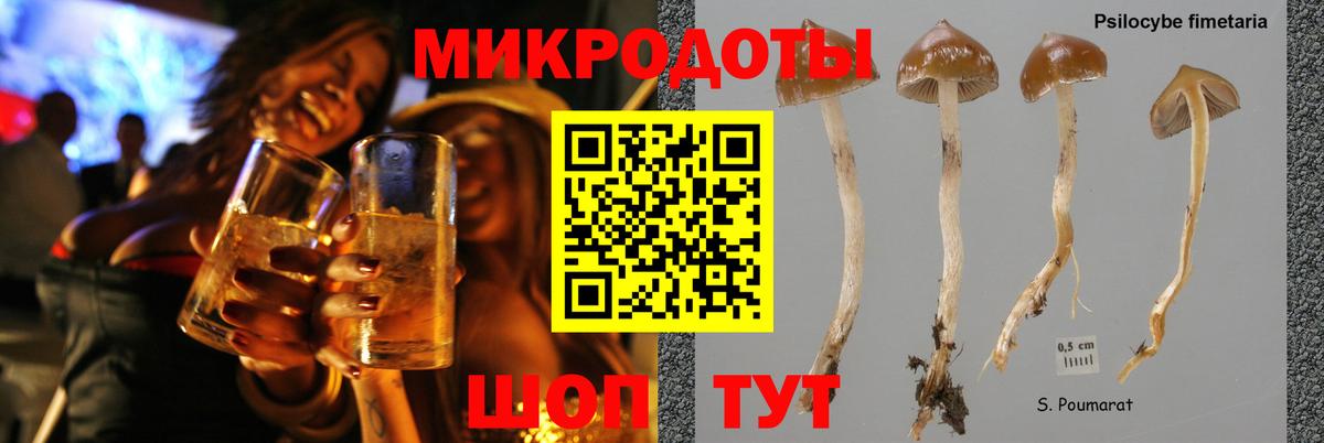 Галлюциногенные грибы Psilocybine cubensis  Вход с VPN  Ейск  Галлюциногенные грибы ЛСД 