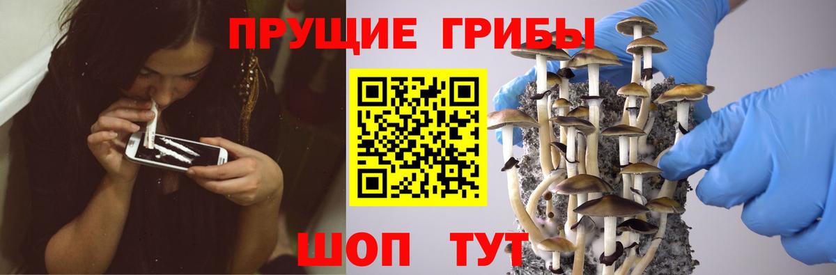 Псилоцибиновые грибы ЛСД Ейск